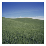 85336 Photographic Print by Paul Edmondson