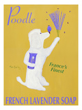 New Poodle Lavender Giclee Print by Ken Bailey