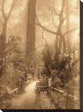 Forest Deep Stretched Canvas Print by Yanni Theodorou