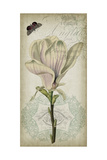 Cartouche and Floral I Giclee Print by Jennifer Goldberger