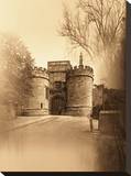 Fortress Stretched Canvas Print by Yanni Theodorou
