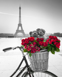 Teddy Rendez-vous Prints by Assaf Frank