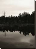 Sifton Bog Stretched Canvas Print by Justin Lloyd