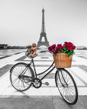 Emotion II Print by Assaf Frank