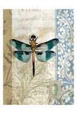 Dragonfly Blue Prints by Tammy Repp