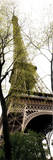 Eiffel Tower 2 Prints by Jim Chamberlain