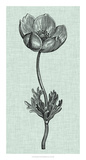 Celadon Beauty I Giclee Print by Vision Studio 