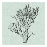 Serene Coral III Giclee Print by Vision Studio 