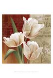 French Tulip Collage II Posters by Abby White