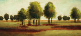 Luminous Landscape Prints by Randy Hibberd