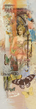 Urban Butterflies II Posters by Ken Hurd