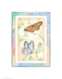 Mariposa Euphydryas editha bayensis y pino blanco Póster por Paul Brent