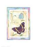 Dos mariposas en tonos pastel Láminas por Paul Brent