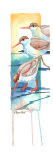 Sandpipers Cove I Poster par Paul Brent
