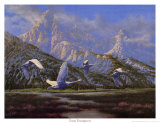 Teton Trumpeters Poster by Michael Bargelski