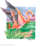 Vuelo en el paraíso de los flamencos Arte por Paul Brent