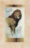 Lion Posters par Judy Gibson