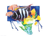 Poisson ange royal Affiches par Paul Brent