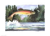Rainbow Trout Arte por Paul Brent