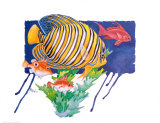 Regal Angel Fish Poster by Paul Brent