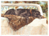 Hasta el límite (labrador negro) Lámina por Barbara Shipman Hasta el límite (labrador negro) Lámina por Barbara Shipman