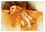 Dog Tired (Yellow Lab) Prints by Barbara Shipman