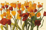 Tulipomania Prints by Shirley Novak