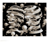 M. C. Escher - Bond of Union Plakát M. C. Escher - Bond of Union Plakát