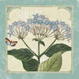 Parisian Flower I Prints by Sue Schlabach