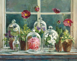 Purple Poppies Windowsill Affiches par Danhui Nai