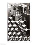 Ciclo Láminas por M. C. Escher Ciclo Láminas por M. C. Escher