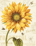 Under the Sun I Affiches par Lisa Audit