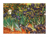 Lirios, Saint-Remy, ca. 1889 Arte por Vincent van Gogh Lirios, Saint-Remy, ca. 1889 Arte por Vincent van Gogh