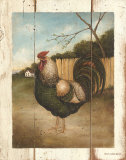 Aramis Print by David Brown