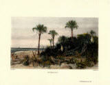 On the Coast Posters by Harry Fenn