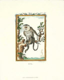 Monkey, Mona Art by Thomas Bell
