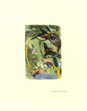 Tropical Birds II Print by Mutzel 