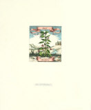 Basilic Affiches par Johann Theodore de Bry