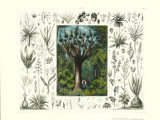 Tropical Vegetation II Posters by G. Heck