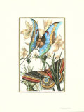Papillon I Affiches par William Henry Pearson