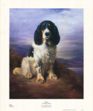 Royal Poster by Lilian Cheviot