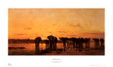 Elephants at Sunset Prints by Charles Tournemine