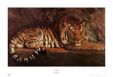 Tigre real Arte por Paul Jouve