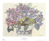 Lace Cap Hydrangeas Print by Barbara Van Winkelen Lace Cap Hydrangeas Print by Barbara Van Winkelen