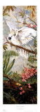 Parrots in Paradise II Posters by Vincente Rocca Parrots in Paradise II Posters by Vincente Rocca