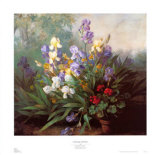 Paisaje con iris Pósters por Barbara Koch Paisaje con iris Pósters por Barbara Koch