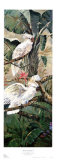 Parrots in Paradise I Prints by Vincente Rocca Parrots in Paradise I Prints by Vincente Rocca