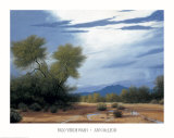 Palo Verde Wash Prints by Ann Mcleod Palo Verde Wash Prints by Ann Mcleod