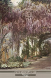 Whysteria Pergola Plakater av Piet Bekaert Whysteria Pergola Plakater av Piet Bekaert