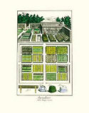 Garden II Posters